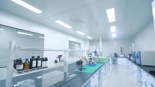 铸就极致产品 打响中国智造 走进中威时和汽车膜工厂的技术服务探索