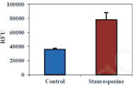 BBI细胞组学产品秋冬促销火热开启，放开价势无需再等